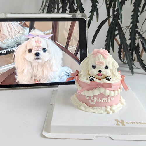 3寸/4寸 复古蝴蝶结宠物蛋糕 狗狗猫咪头像定制生日蛋糕 马尔济斯