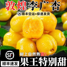【顺丰空运】敦煌李广杏现摘现发