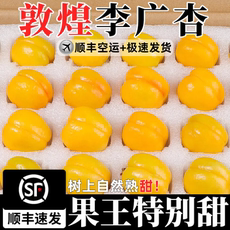 现摘敦煌李广杏新鲜杏子顺丰空运