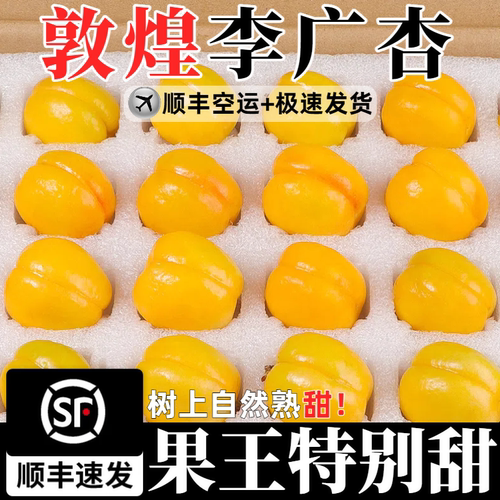 现摘敦煌李广杏新鲜杏子顺丰空运