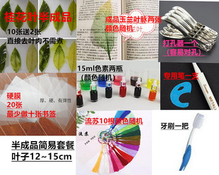叶脉上浆 学生实验叶脉半成品 叶脉书签diy材料  作业套餐