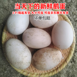 新鲜土鹅蛋农村人散养个大80 150克之间每个蛋当天下蛋发货苏北产