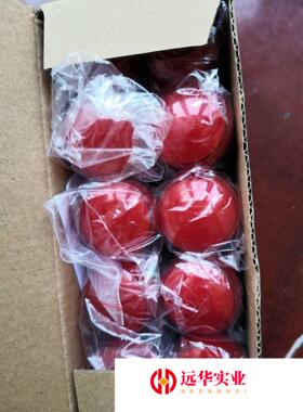 上海天逸22孔径红色指示灯AD17KH-22 AC/DC24