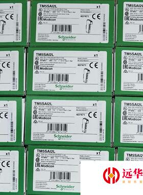 施耐德TM5模拟量输入模块 TM5SAI2L