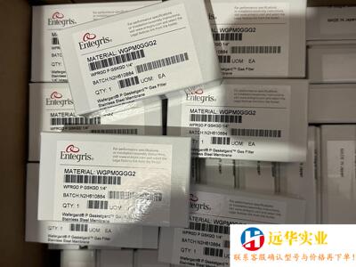 Entegris 1/4过滤器WGPM0GGG2