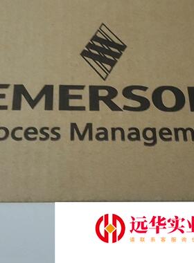 3051CD1A02A1M5S带阀组罗斯蒙特变送器