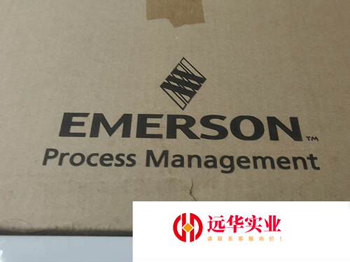 3051CD1A02A1AM5E5S5Q4罗斯蒙特变