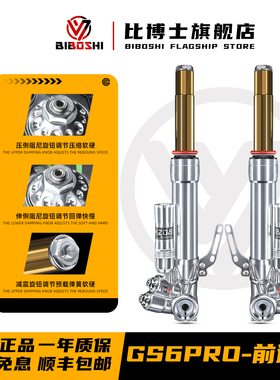 比博士前减震GS6pro九号E300P E200Pmk2 E125 E100 NS125LA避震