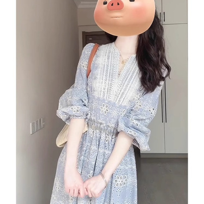 2025新款爆款小众设计感独特小香风V领镂空刺绣蓝色连衣裙女夏季