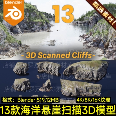 Blender扫描Scan海洋悬崖岩石资产3D模型Ocean Cliff Collection