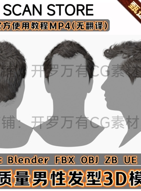 3DScanStore写实毛发男性角色插片面片头发型卷发3D模型Blend FBX