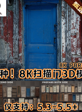 UE5.5虚幻5电影级8K写实门恐怖环境场景公寓房间破旧木门框3D模型