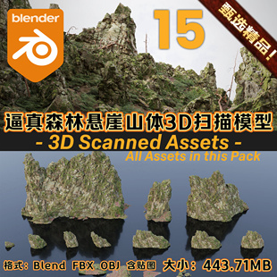 Blender逼真山脉悬崖扫描3D模型海岸苔藓岩石碎石头山崖含8K纹理