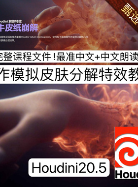 Houdini20.5皮肤消散教程VELLUM DISINTEGRATION Voxyde Courses