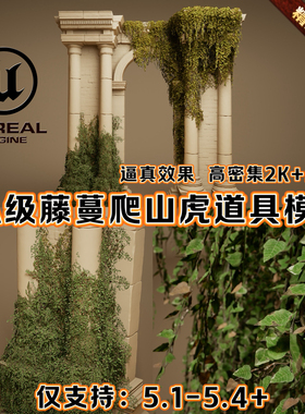 UE5.4虚幻5植物藤蔓灌木丛爬山虎青苔蕨类叶子树叶植被场景3D模型