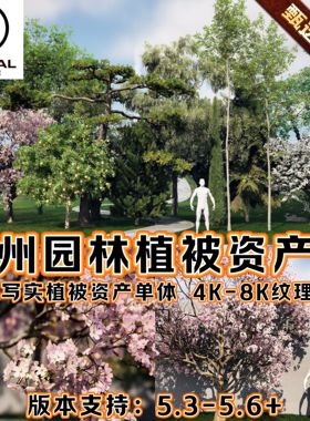 UE5虚幻5国风场景苏州园林写实植被公园植物森林自然绿化树木资产