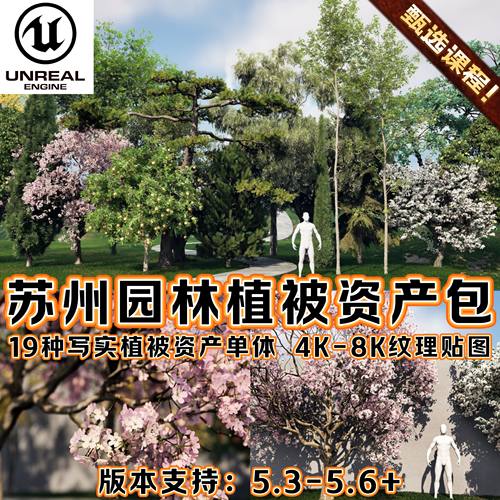 UE5虚幻5国风场景苏州园林写实植被公园植物森林自然绿化树木资产