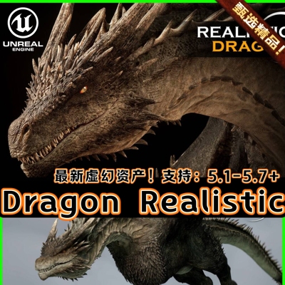 UE5虚幻5 Dragon Realistic 5.1-5.7+写实西方恶龙喷火龙角色模型
