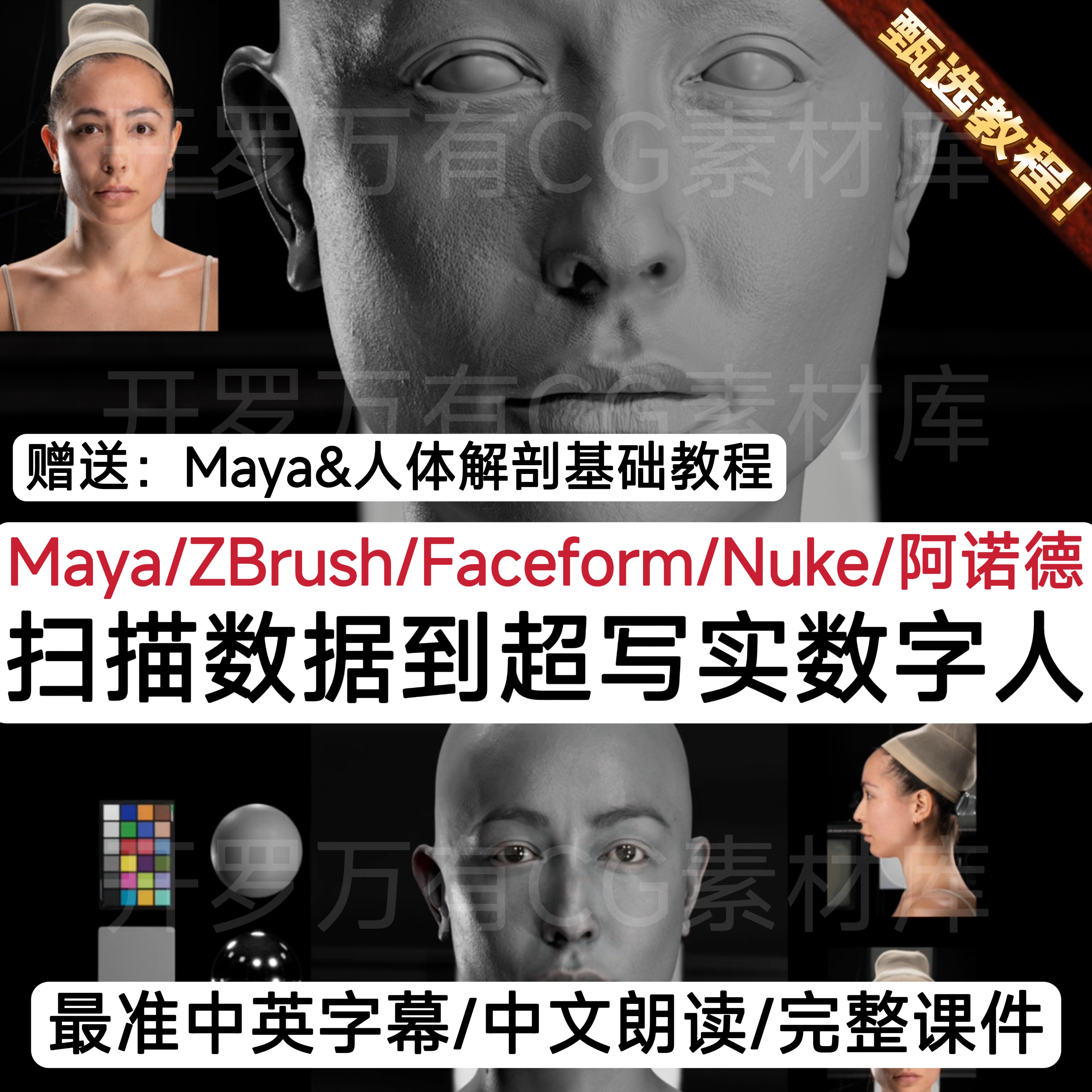 Modelling Digi-Doubles for VFX 2025 Maya超写实扫描数字人教程