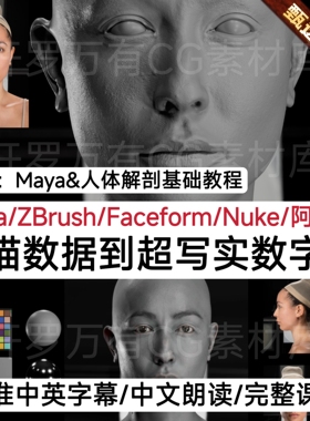Modelling Digi-Doubles for VFX 2025 Maya超写实扫描数字人教程