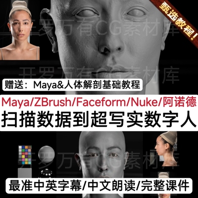 Modelling Digi-Doubles for VFX 2025 Maya超写实扫描数字人教程