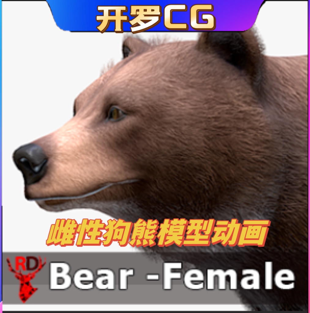 UE5虚幻5 Bear - Female 雌性母狗熊角色模型带动画 商务/设计服务 设计素材/源文件 原图主图