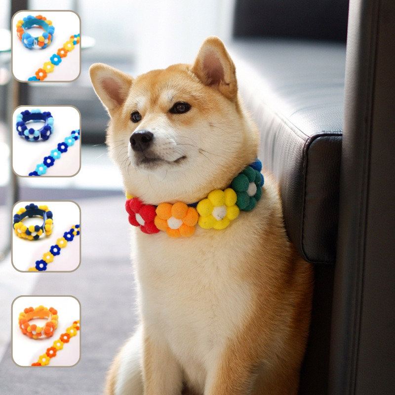 柴犬彩虹花花项圈柴犬围脖可爱花朵狗狗网红拍照柯基脖圈中小型犬