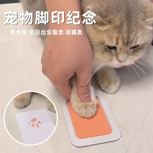 宠物爪印印板出生生日留念