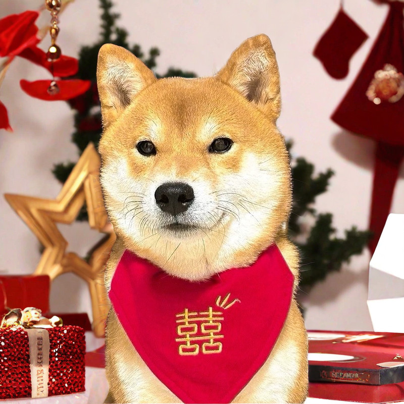 狗狗猫咪口水巾结婚喜字围脖配饰参加婚礼喜庆三角巾可调节围嘴,宠物/宠物食品及用品,领结,淘宝优惠券,粉丝福利购,淘宝优惠卷