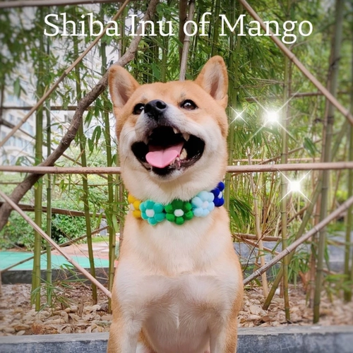 Чокер, шарф, декор, аксессуар, в цветочек, популярно в интернете