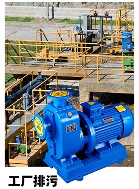65ZW20-30/80ZW65-25泥浆泵50ZW15-30/60ZW20-25自吸排污水泵380v