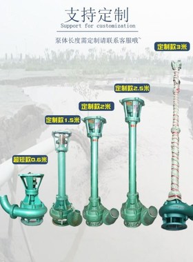 NL150-15抽粪污水泵泵清淤淤泥NL50-10/NL75-8380v0.8米1.2米鱼塘
