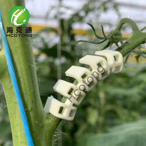 果柄夹果穗夹防折弯夹园艺工具