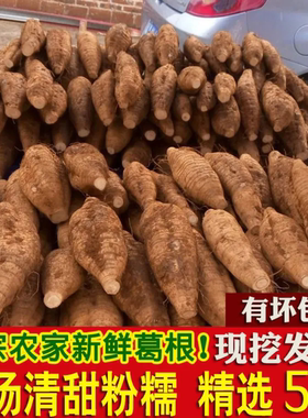 葛根新鲜广西和平粉葛无渣香甜现挖葛薯广东煲汤解酒葛根粉5斤
