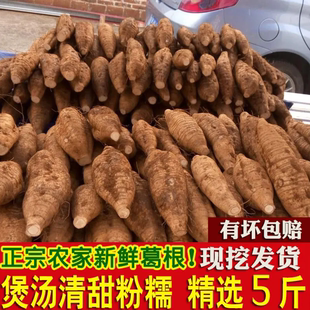 葛根新鲜广西和平粉葛无渣香甜现挖葛薯广东煲汤解酒葛根粉5斤