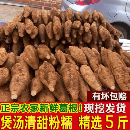 葛根新鲜广西和平粉葛无渣香甜现挖葛薯广东煲汤解酒葛根粉5斤