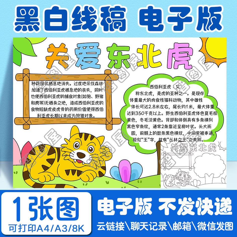 关爱东北虎手抄报模板电子版保护动物小学生黑白线稿图a38开4开