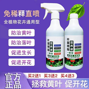 羽化臣2号旗舰店植物营养液家用盆栽养花发树金钱树羽花华臣二号