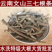 云南三七粗根文山三七大根条三七须根三七剪根批500克 包邮