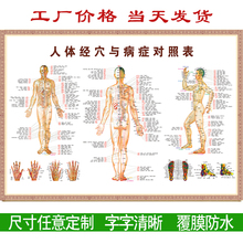 人体经络穴位标准大图挂图全身高清中医养生艾灸推拿按摩背部针灸
