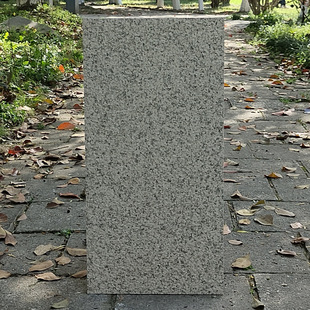 农村院子地砖室外楼顶阳台露台花园防滑瓷砖户外庭院地面铺地板砖