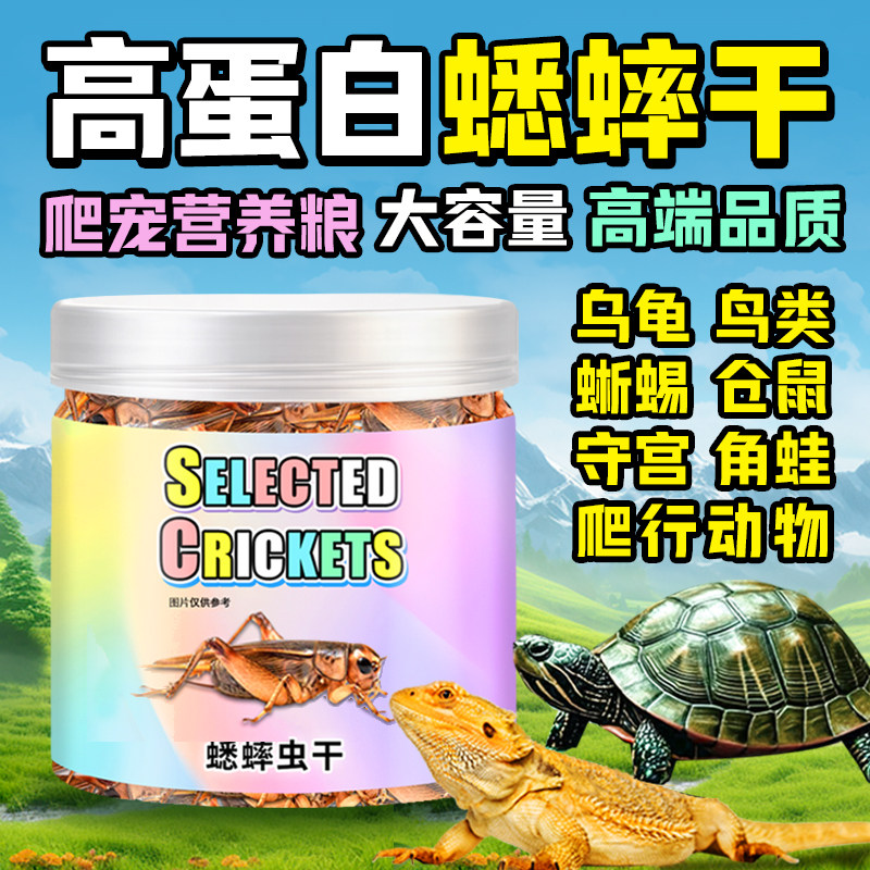 蚕蛹干高钙蛋白虫干爬宠乌龟蜥蜴仓鼠角蛙粮零食纯干茧蛹干烘干