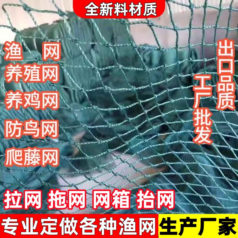 定制渔网养殖网网箱拉网抬网清塘网捕鱼网拦污隔断网聚乙烯养鱼箱