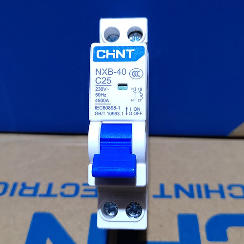 正品正泰DPN20A两进两出断路器32A25A16A40单P双进双出空开NXB-40