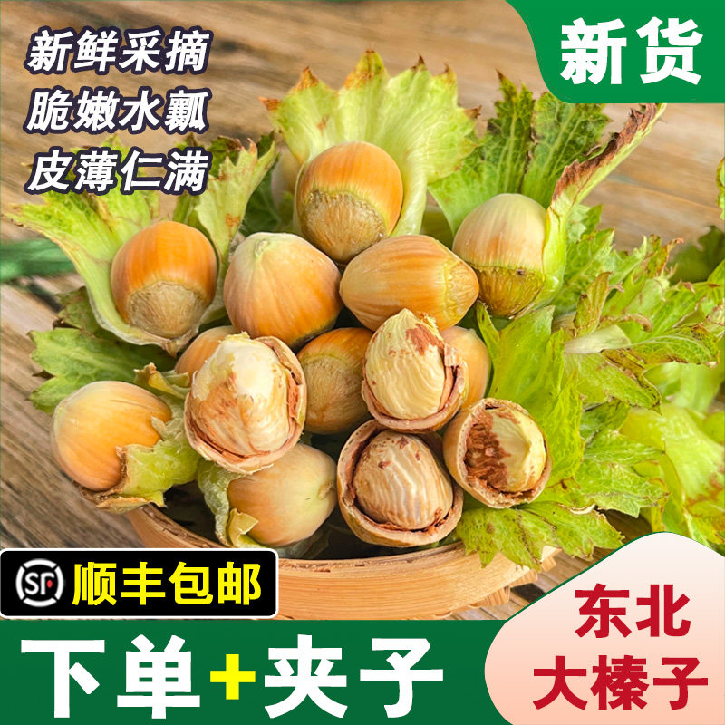 【顺丰】26年新鲜大榛子东北不带绿皮水仁水瓤桓仁生榛子5斤包邮