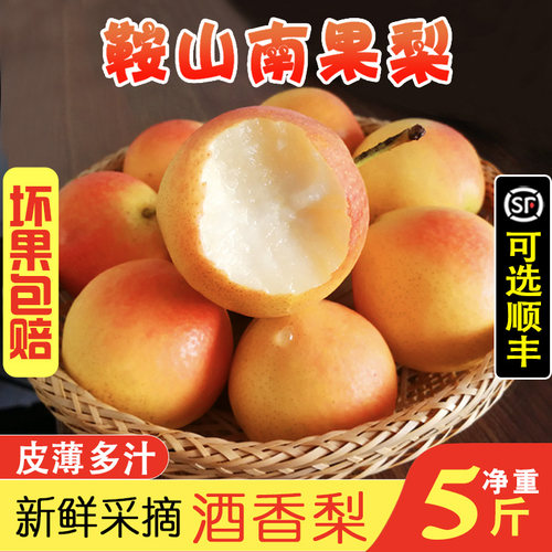 正宗东北特产鞍山小香水梨南果梨