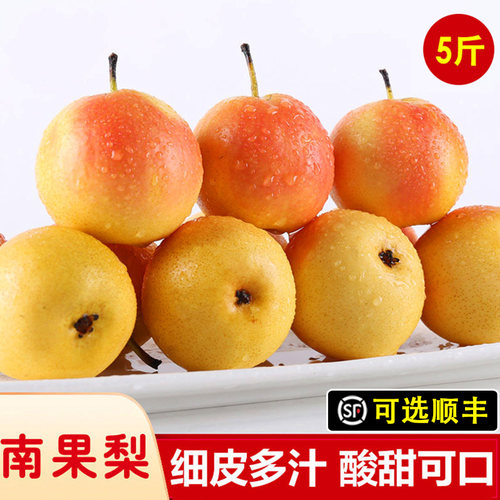 鞍山5斤海城东北特产新鲜南果梨