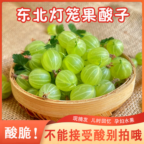 灯笼果酸子鲜果鹅莓刺梨酸掉渣儿酸钉子酸子粒开胃醋栗刺果莓包邮