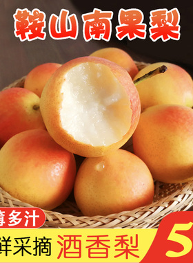 鞍山南果梨5斤小香水梨子新鲜水果当季红南国梨冻梨东北特产包邮