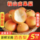 包邮 鞍山南果梨5斤小香水梨子新鲜水果当季 红南国梨冻梨东北特产